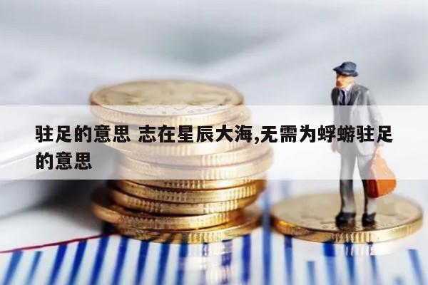 驻足的意思 志在星辰大海,无需为蜉蝣驻足的意思