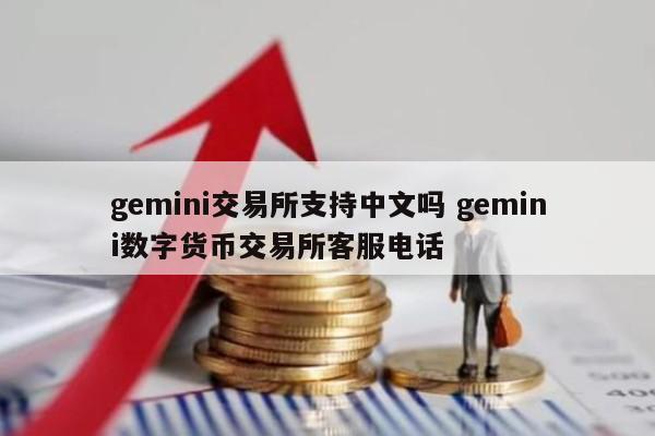 gemini交易所支持中文吗 gemini数字货币交易所客服电话
