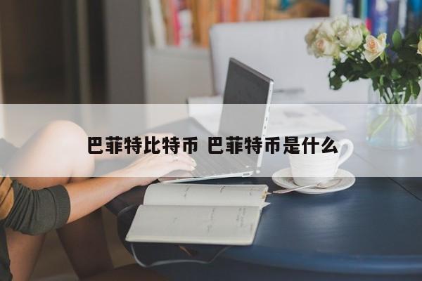 巴菲特比特币 巴菲特币是什么