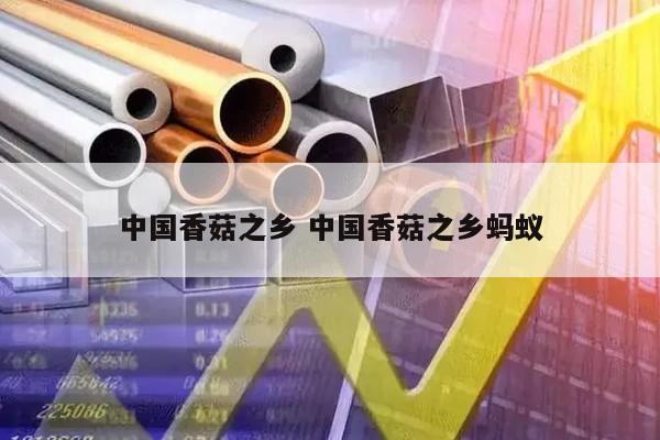 中国香菇之乡 中国香菇之乡蚂蚁