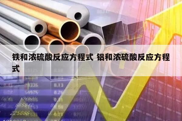 铁和浓硫酸反应方程式 铝和浓硫酸反应方程式