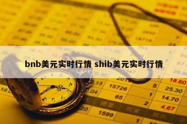 bnb美元实时行情 shib美元实时行情