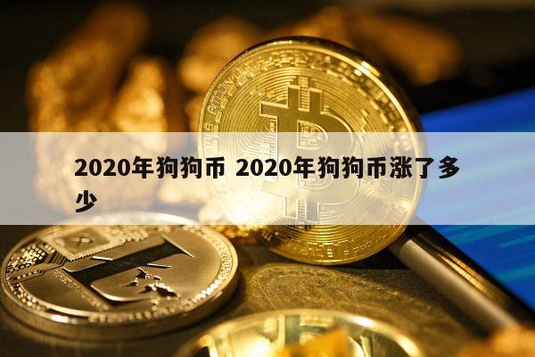 2020年狗狗币 2020年狗狗币涨了多少