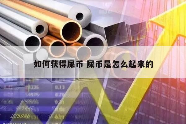 如何获得屎币 屎币是怎么起来的