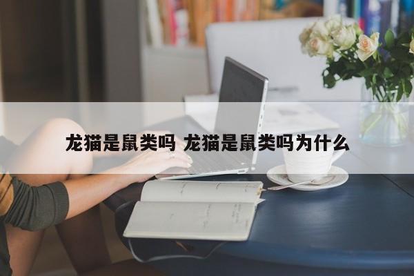 龙猫是鼠类吗 龙猫是鼠类吗为什么