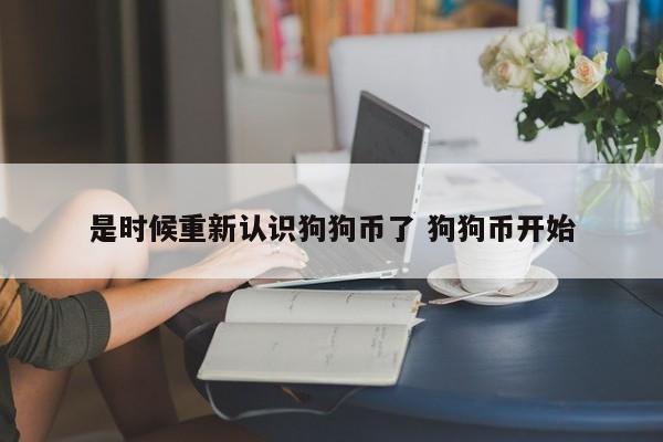 是时候重新认识狗狗币了 狗狗币开始