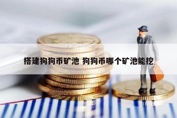 搭建狗狗币矿池 狗狗币哪个矿池能挖