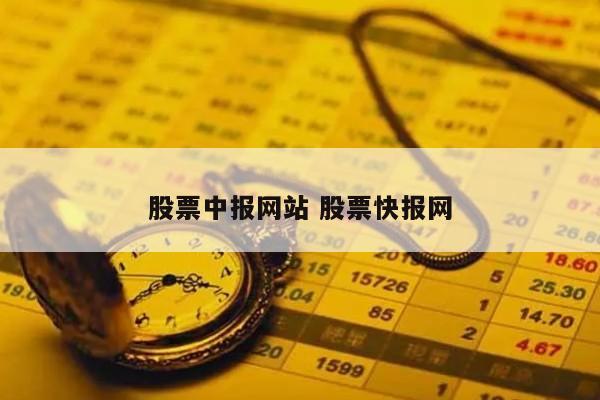 股票中报网站 股票快报网