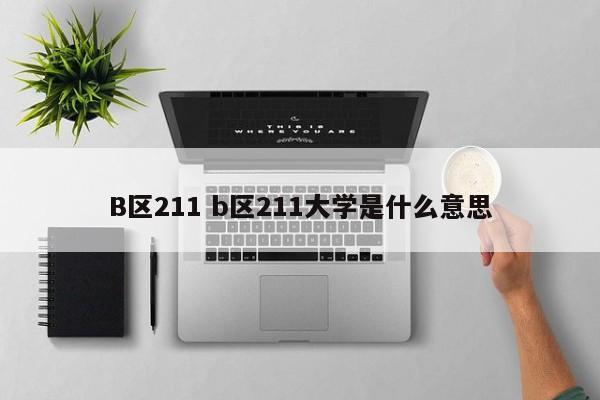 B区211 b区211大学是什么意思