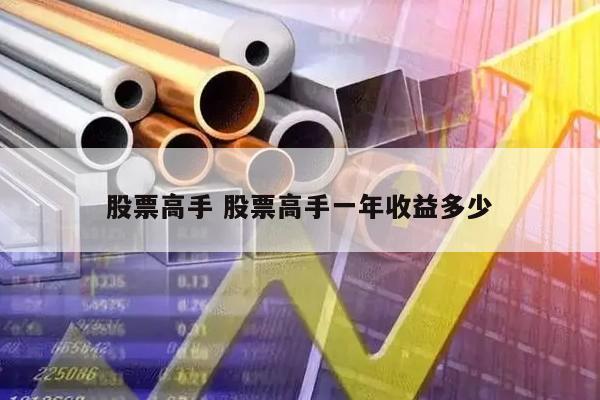 股票高手 股票高手一年收益多少