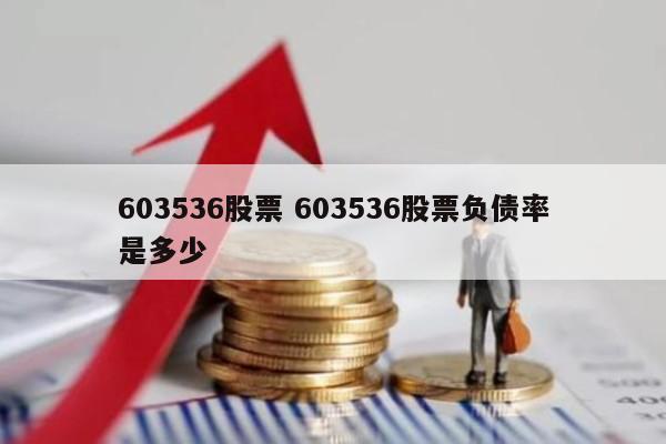 603536股票 603536股票负债率是多少