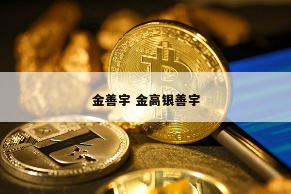 金善宇 金高银善宇