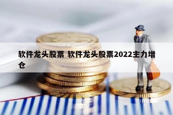 软件龙头股票 软件龙头股票2022主力增仓