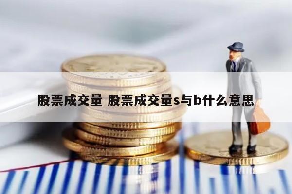 股票成交量 股票成交量s与b什么意思