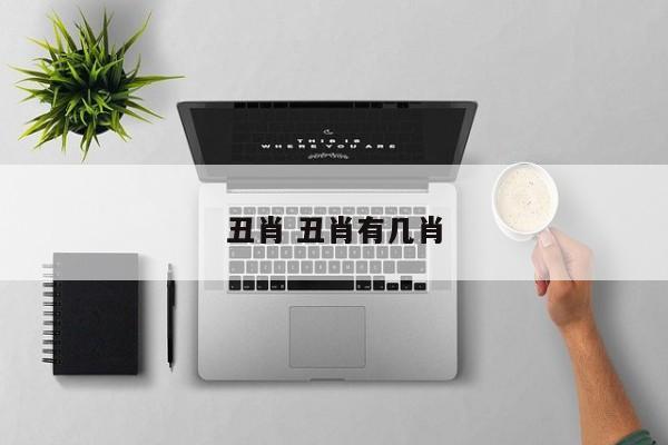 丑肖 丑肖有几肖