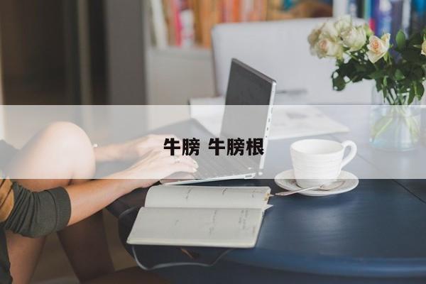 牛膀 牛膀根