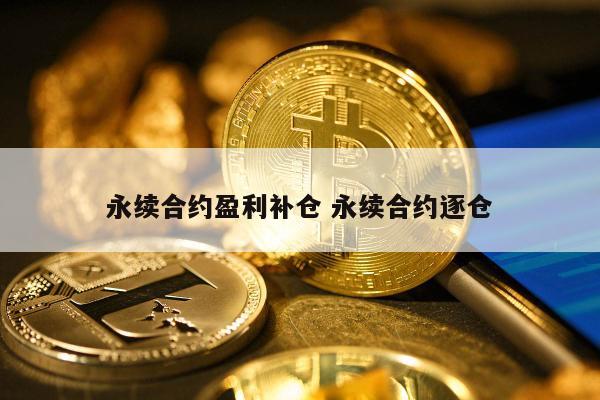 永续合约盈利补仓 永续合约逐仓