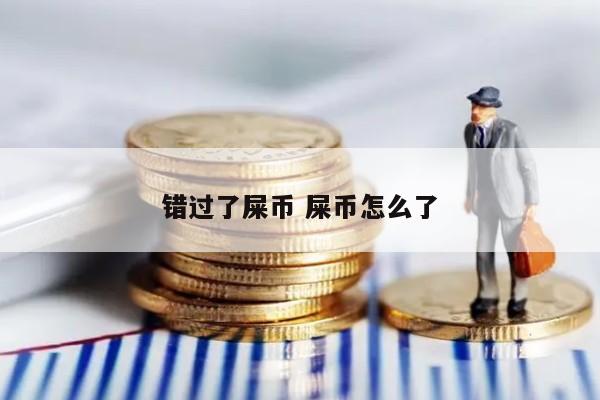 错过了屎币 屎币怎么了
