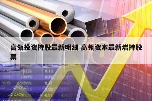 高瓴投资持股最新明细 高瓴资本最新增持股票