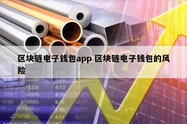 区块链电子钱包app 区块链电子钱包的风险
