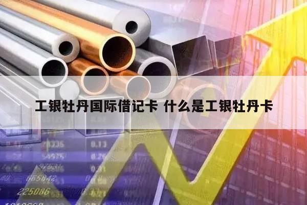 工银牡丹国际借记卡 什么是工银牡丹卡