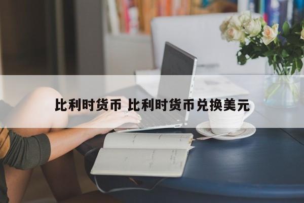 比利时货币 比利时货币兑换美元