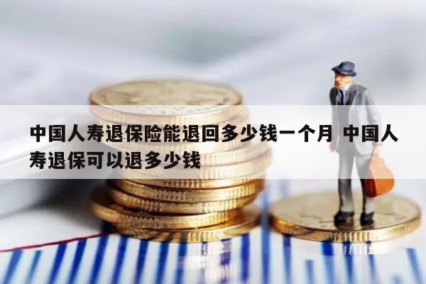 中国人寿退保险能退回多少钱一个月 中国人寿退保可以退多少钱