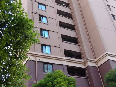 连亮路 连亮路111弄 