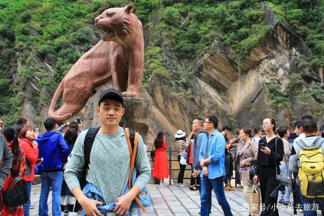 豁虎跳什么意思 豁虎跳 是什么意思 