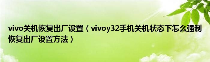 vivo手机怎么强制关机 VIVO手机怎么强制关机不重启 