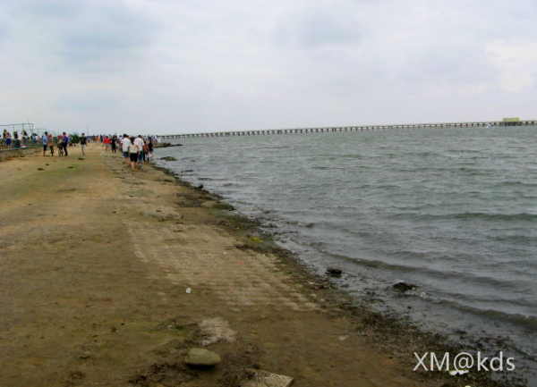 上海海边 上海海边摩天轮 