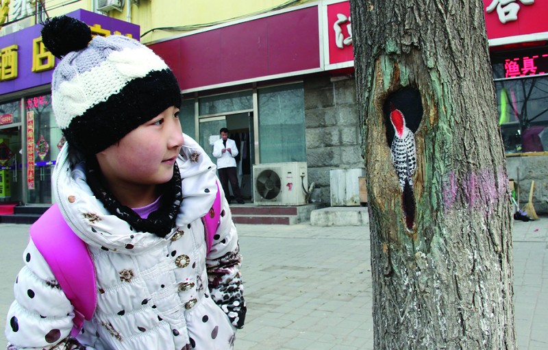 树洞什么意思 地铁树洞什么意思 