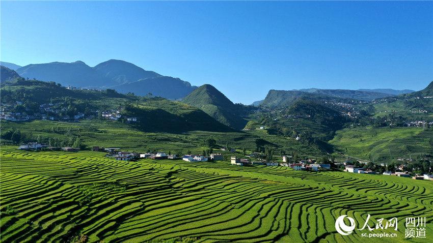 凉山州 凉山州州长 